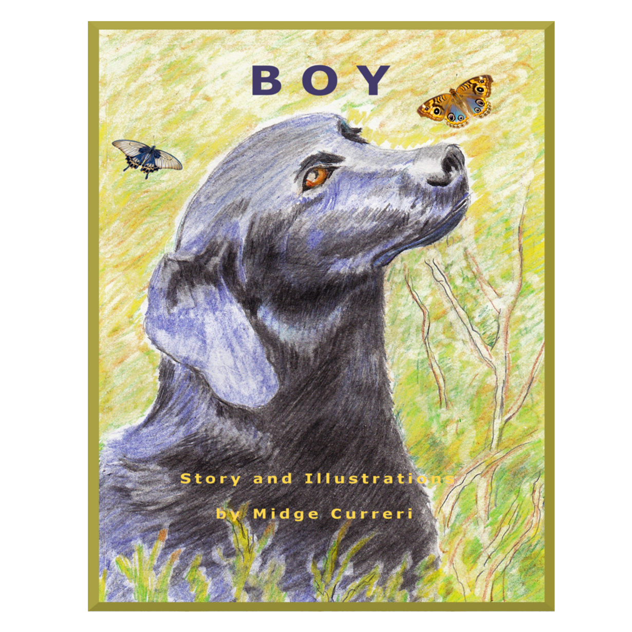 Wordpress - Boy - 1230 x 1230 in box